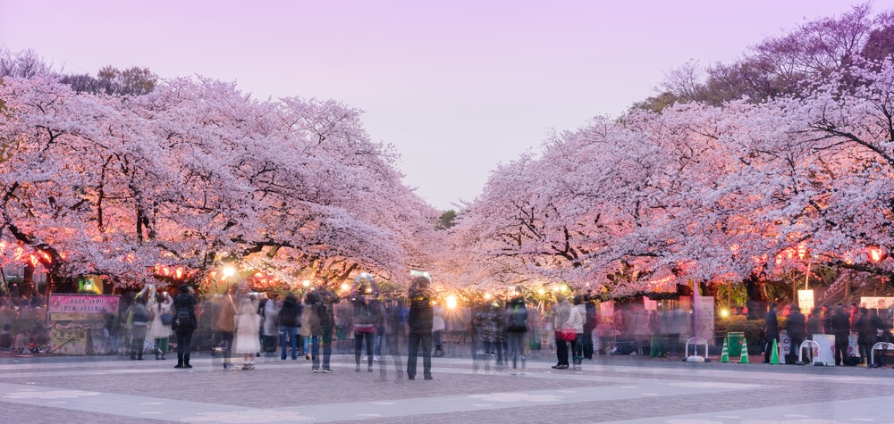 Chill at Ueno Park