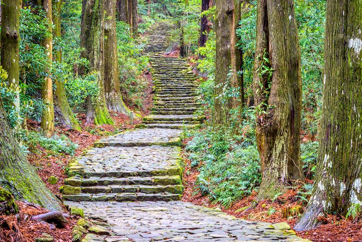 Nature Walks in National Parks