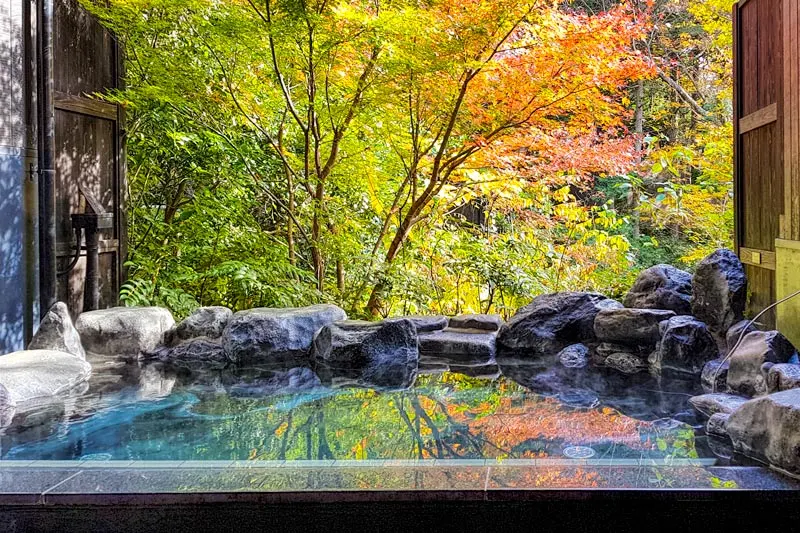 Onsen Retreat in Hakone