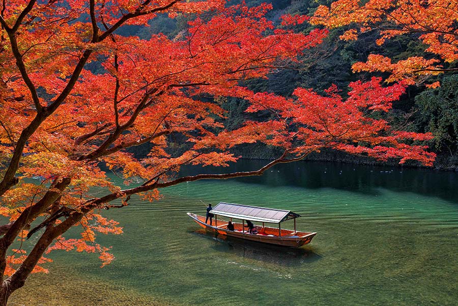 Picnic in Arashiyama