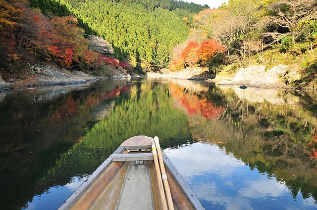 Scenic Boat Rides