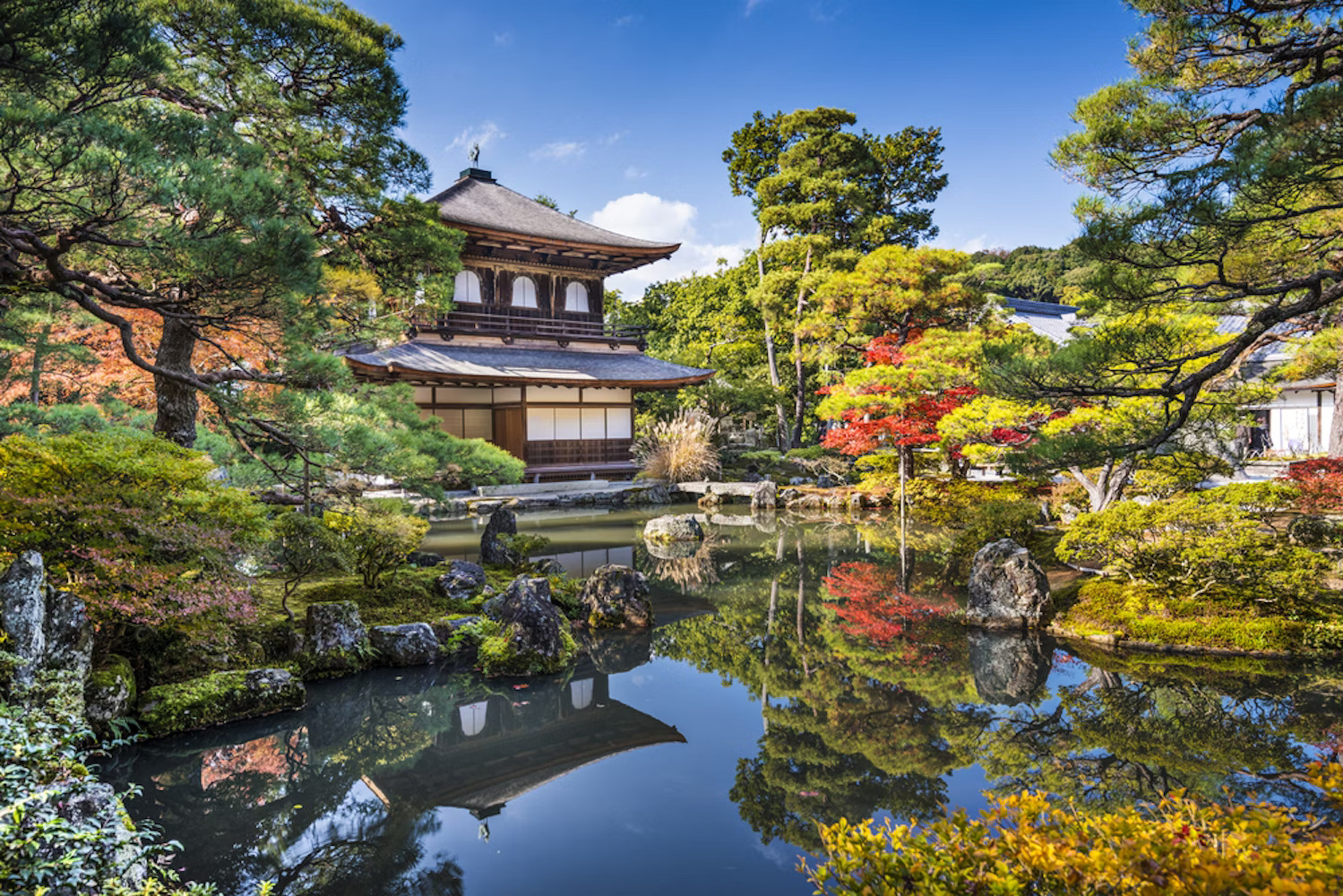 Tranquil Zen Gardens