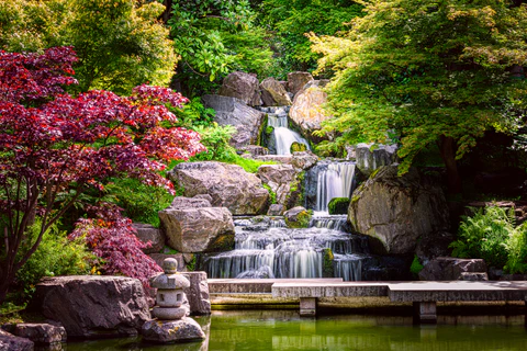 Zen Gardens water